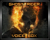 Ghost Rider Voice Box