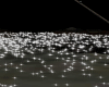vox  effect