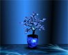 blue rose plant