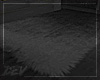 "Grey Rug v2