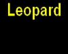 Leopard and Lace