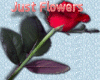 [SSD] Flowers