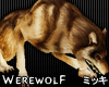! Lycan Werewolf Animate