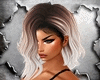 〆 Blond Edion