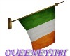 *QN* Irish Flag