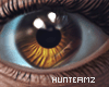 HMZ: Fear #Honey