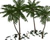 palms island valentin