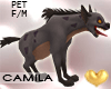 ! Hyena Pet F/M
