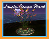 H:Lovely Flower Plants