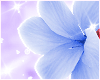 Hair Flower B. R