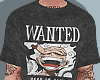 Lv' Luffy.