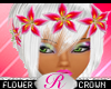 [R] Pulchra Lily Crown