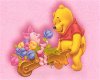 Pink Pooh Baby Changer