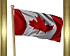 ANI. CANADIAN FLAG