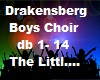 Dra.Boys Choir The Littl