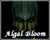 Algal Bloom Skin