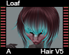 Loaf Hair V5