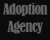 IS - Adoption Agency