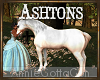 Ashtons White Horse