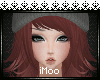 Yinn | Cocoabean