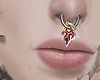 Septum Flama