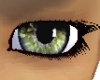 eyez~golden green