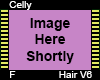 Celly Hair F V6