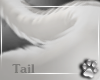 Kitty Tail -White