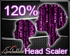 Max- Head Scaler 120% -F