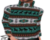 Sweater, SW Native