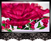 [AYZ]Rose Centerpiece