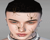 Spider Animated ! M
