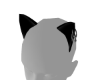 orelhuus