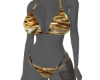 Golden Dolar♛ Bikini