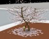 sakura tree , animated