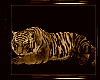Gold Tiger Pet