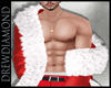 Dd- Sexy Santa Coat