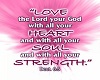 Love the Lord
