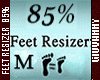 GI*FEET RESIZER 85 %