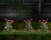 ~CR~Garden Pink Roses