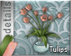 [MGB] D! Flowers / Tulip