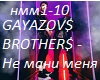 GAYAZOV$ BROTHER$