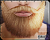 Blonde Beard