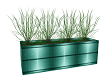 Planter v1 Romantic H AW