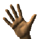 (IM) HAND 1