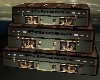 Verdurous Suitcase