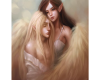 Fairy Angels