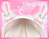 Tiara Pink Bunny