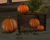 Pumpkin crate Halloween