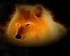 Light Evyy Wolf Fire